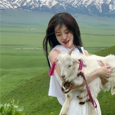 命运探索者